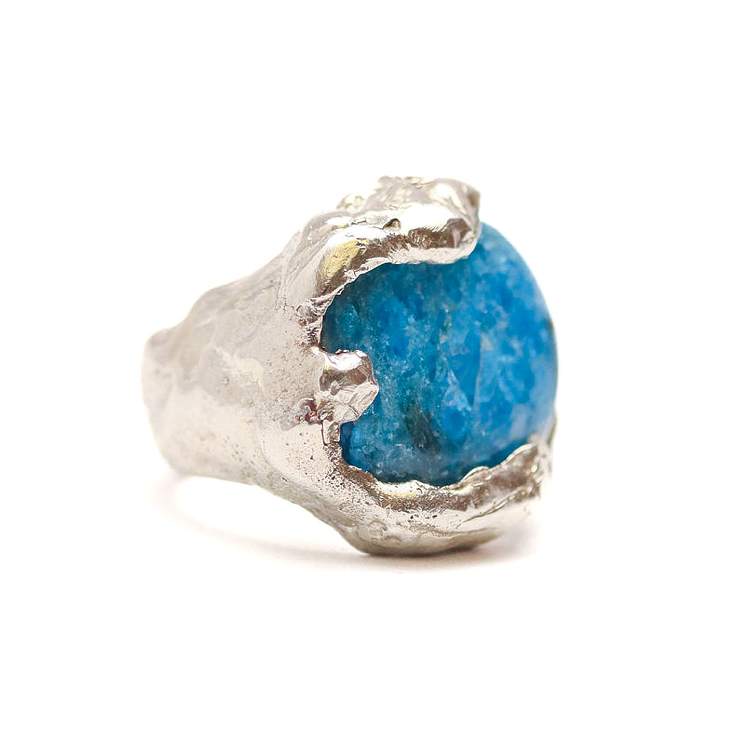 Anillo Hippo Circular – Apatito - Image 2